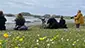 Guests seawatching